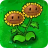 Twin Sunflower plant artwork